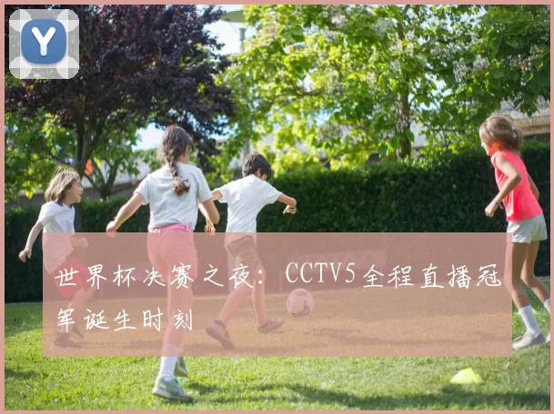 世界杯决赛之夜:CCTV5全程直播冠军诞生时刻