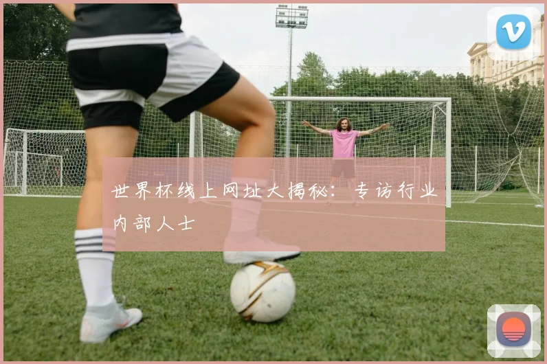 世界杯线上网址大揭秘：专访行业内部人士