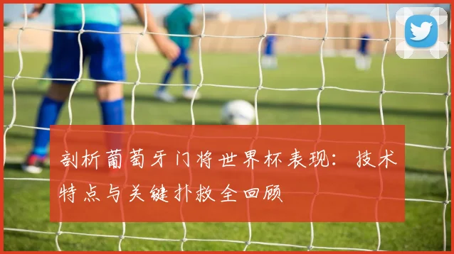 剖析葡萄牙门将世界杯表现：技术特点与关键扑救全回顾
