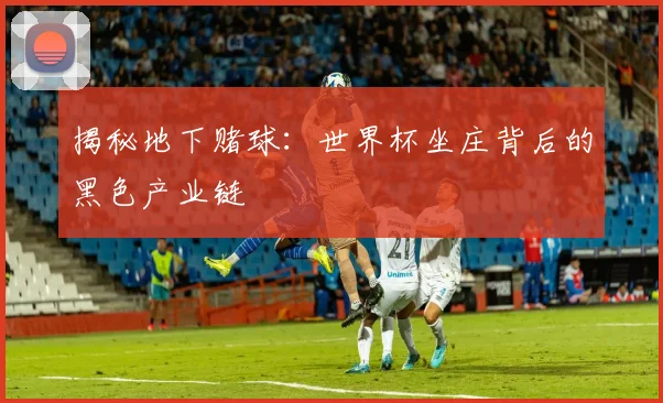 揭秘地下赌球：世界杯坐庄背后的黑色产业链