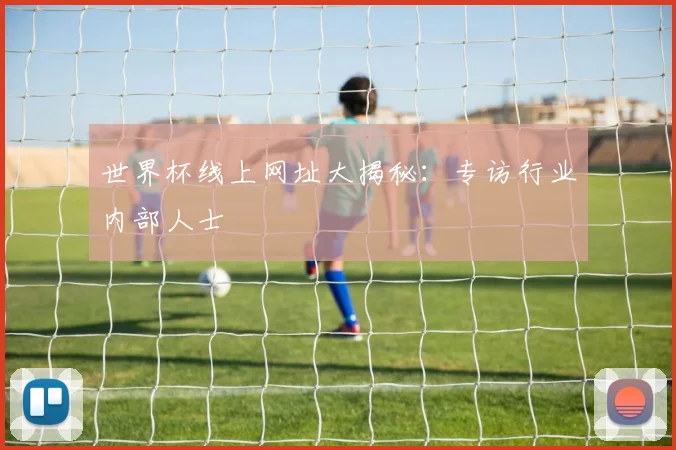 世界杯线上网址大揭秘：专访行业内部人士