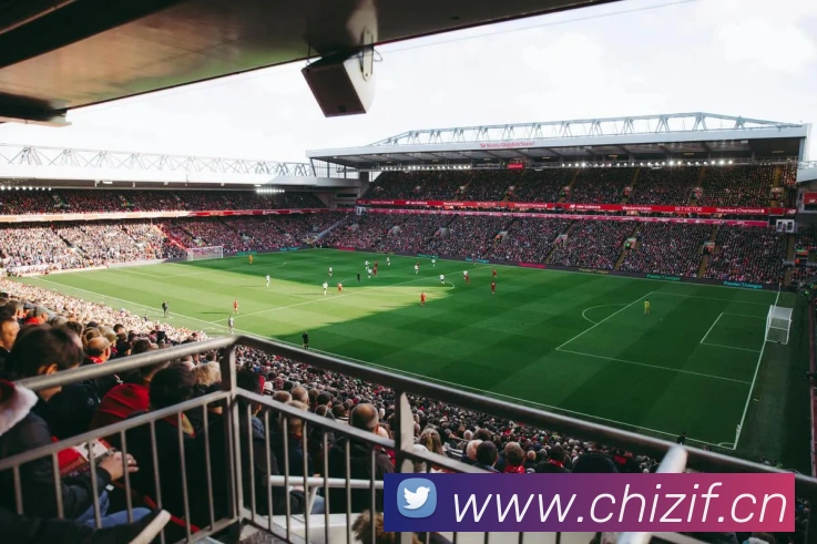 亚搏app官网平台生态图