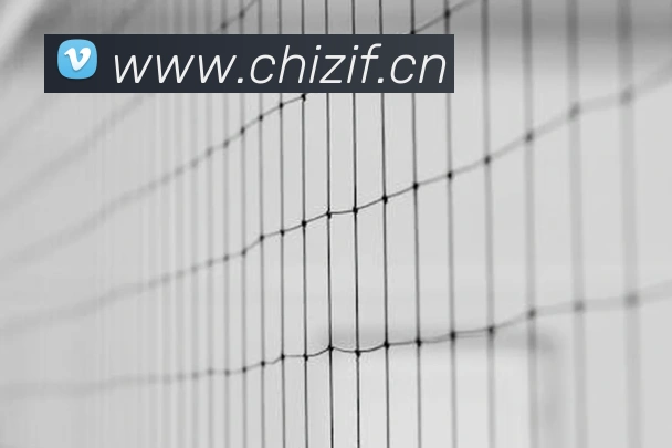 亚搏app官网全站App